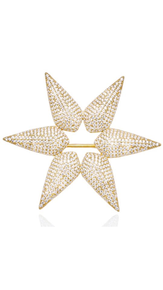 STAR BROOCH
