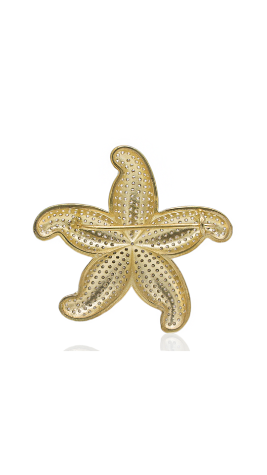 PHELA STARFISH BROOCH