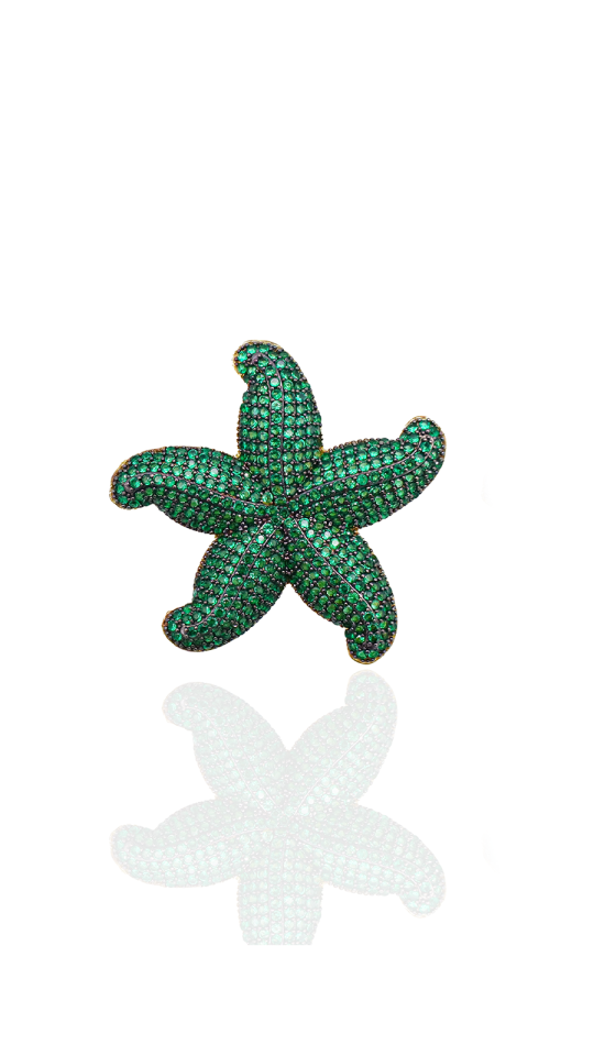 PHELA STARFISH BROOCH
